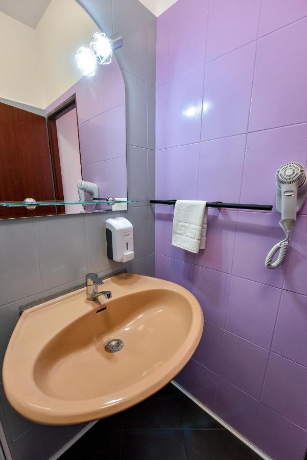 Pensiunea Vanessa Făgăraş Buitenkant foto