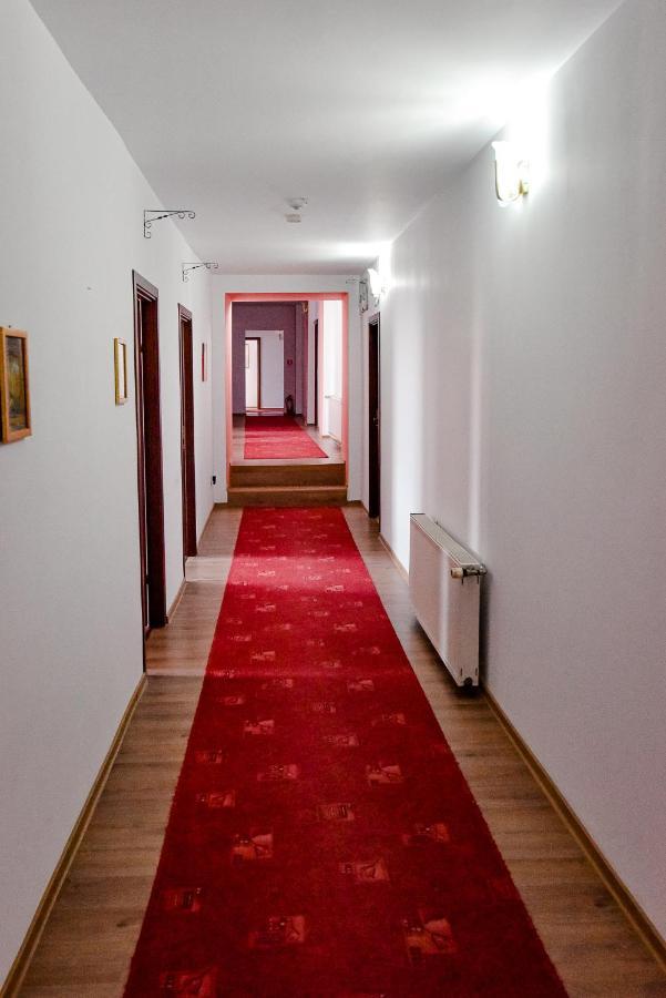 Pensiunea Vanessa Făgăraş Buitenkant foto