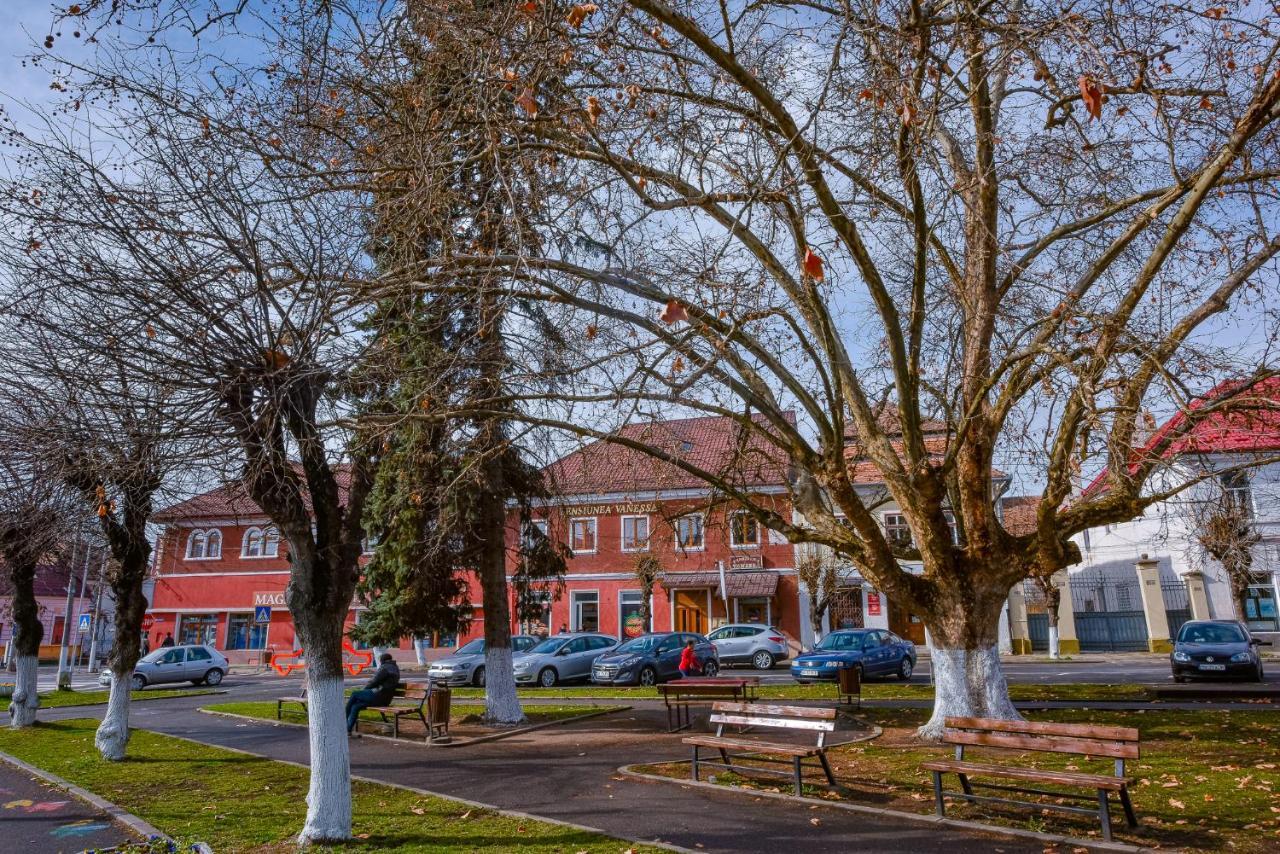 Pensiunea Vanessa Făgăraş Buitenkant foto